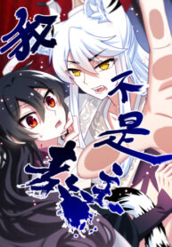 Cover 46354