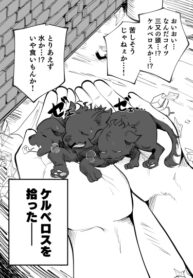 Cover 46406