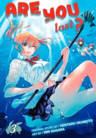 Cover 46416