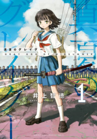 Cover 46603