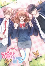 Cover 47075