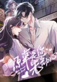 Cover 47095