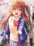 Cover 47155