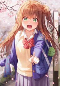 Cover 47155