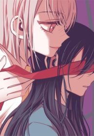 Cover 47237