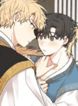 Cover 47271