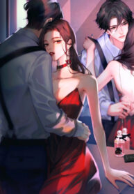 Cover 47281