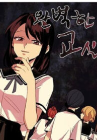 Cover 47299