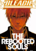 Cover 47317