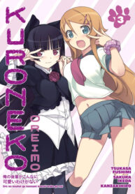 Cover 47334