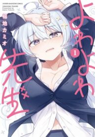 Cover 47482
