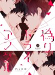 Cover 47520