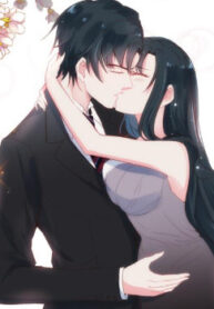 Cover 47540