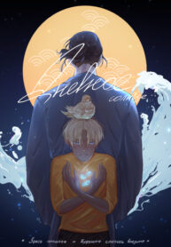 Cover 47617