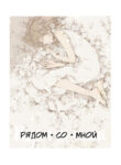 Cover 47699