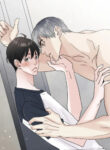 Cover 47773