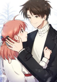 Cover 48030