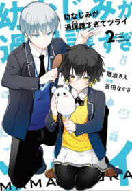Cover 48096