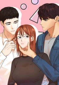 Cover 48495