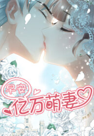 Cover 48750