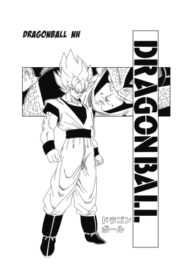 Cover 48798