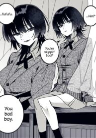 Cover 49251
