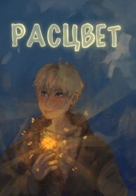 Cover 50164
