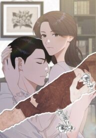 Cover 50208