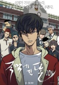 Cover 50235