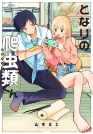 Cover 50516