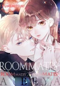 Cover 50526