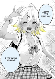 Cover 50558