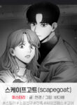 Cover 50666