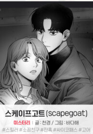 Cover 50666