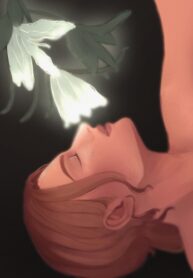 Cover 50803