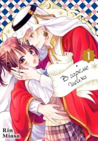 Cover 51037