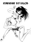 Cover 51065