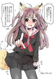 Cover 51167