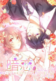 Cover 51213