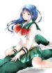 Cover 51355