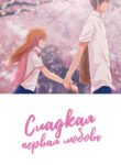 Cover 51541