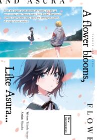 Cover 51617