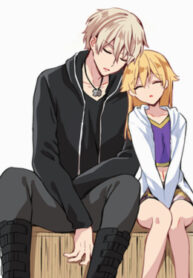 Cover 52038