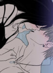Cover 52091