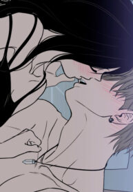 Cover 52091