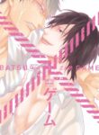 Cover 52246