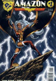 Cover 52691