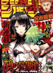 Cover 52735