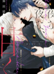 Cover 52901