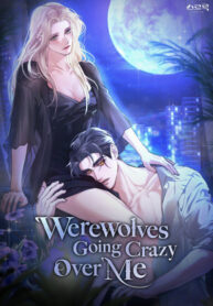 Cover 52937